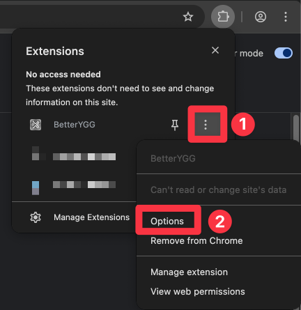 docs/images/options.png