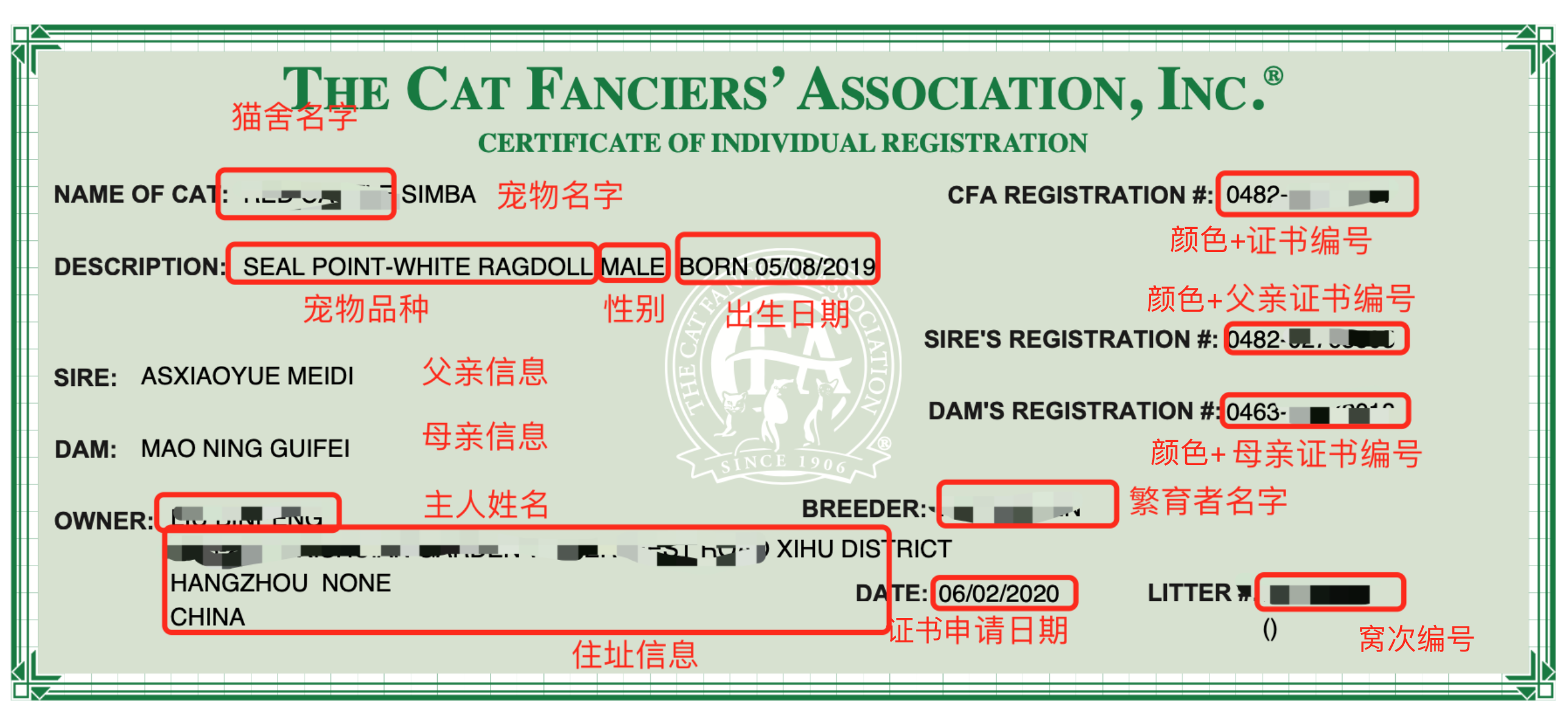 CFA-Certificate