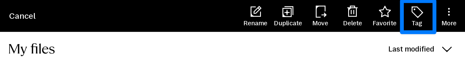 Tag button in action bar